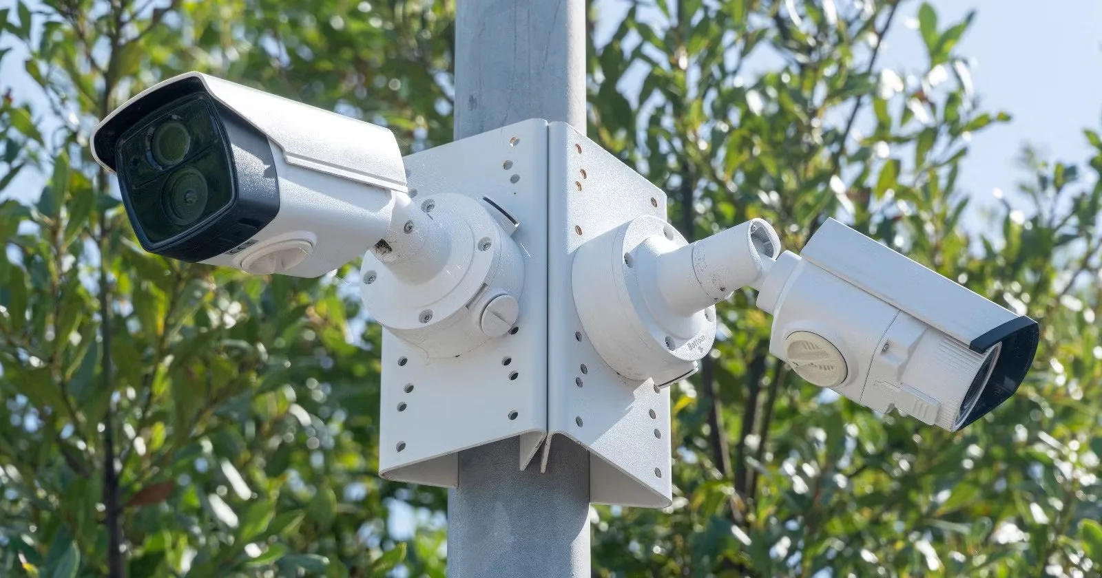 Security & Safety